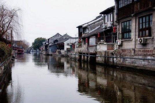 优质问答-如果一群蜜蜂中“蜂王”死了,其它蜜蜂会怎样?网站,专业解答